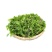 陕西西安野生荠荠菜野菜一手货源快递一件代发，仓储物流