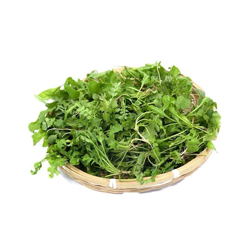 陕西西安野生荠荠菜野菜一手货源快递一件代发，仓储物流