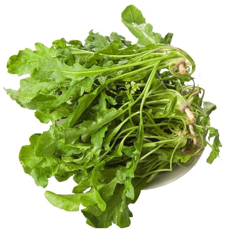 陕西西安野生荠荠菜野菜一手货源快递一件代发，仓储物流