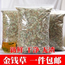 金钱草广西大叶金钱草新货广西大叶金钱草1000g