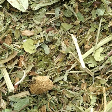 当季，新花生秧，