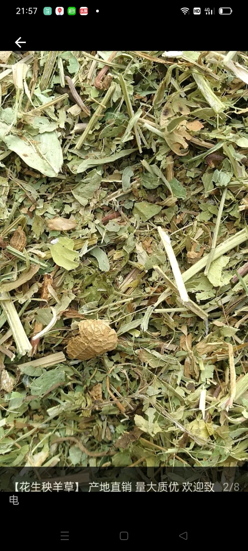 当季，新花生秧，
