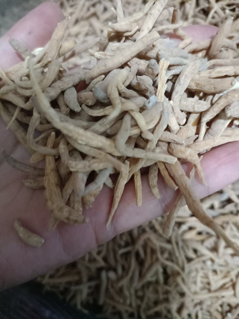 【傲宇药材】太子参孩子参，货好质优价低，