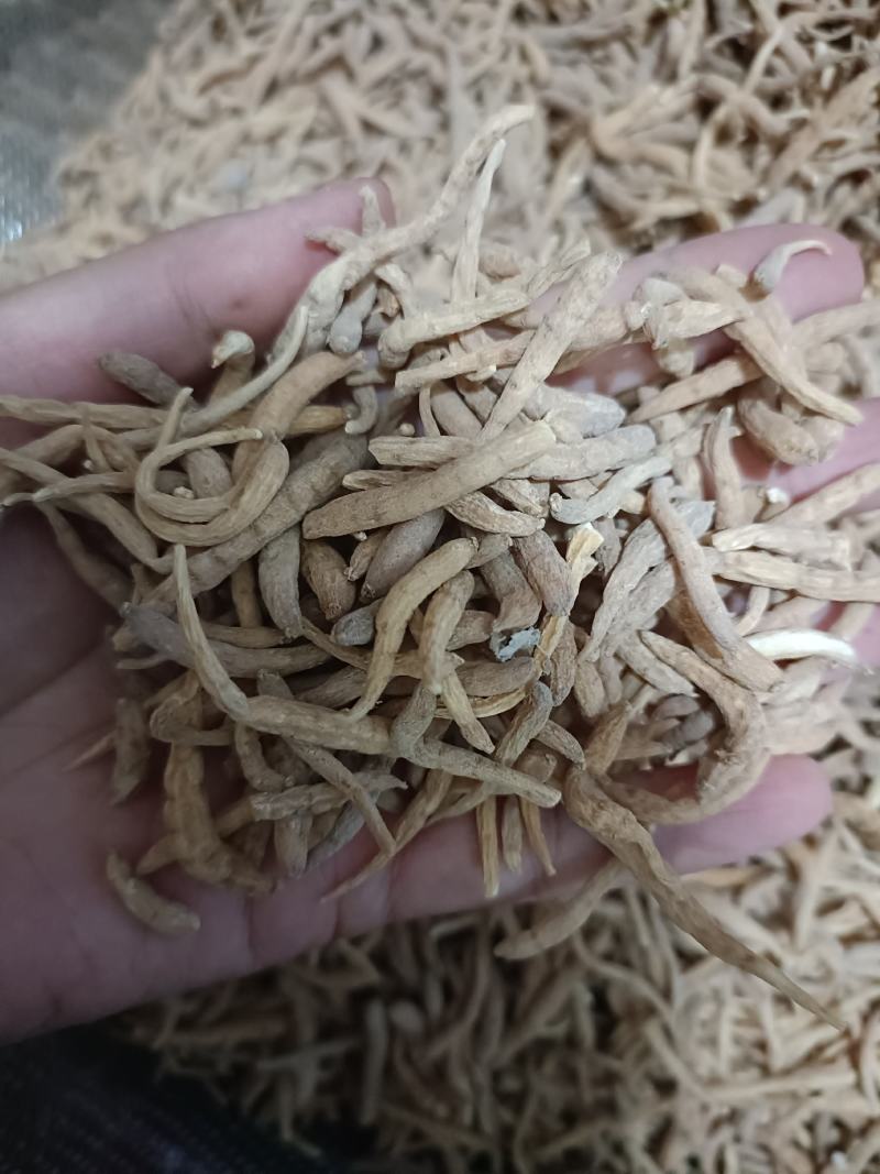 【傲宇药材】太子参孩子参，货好质优价低，