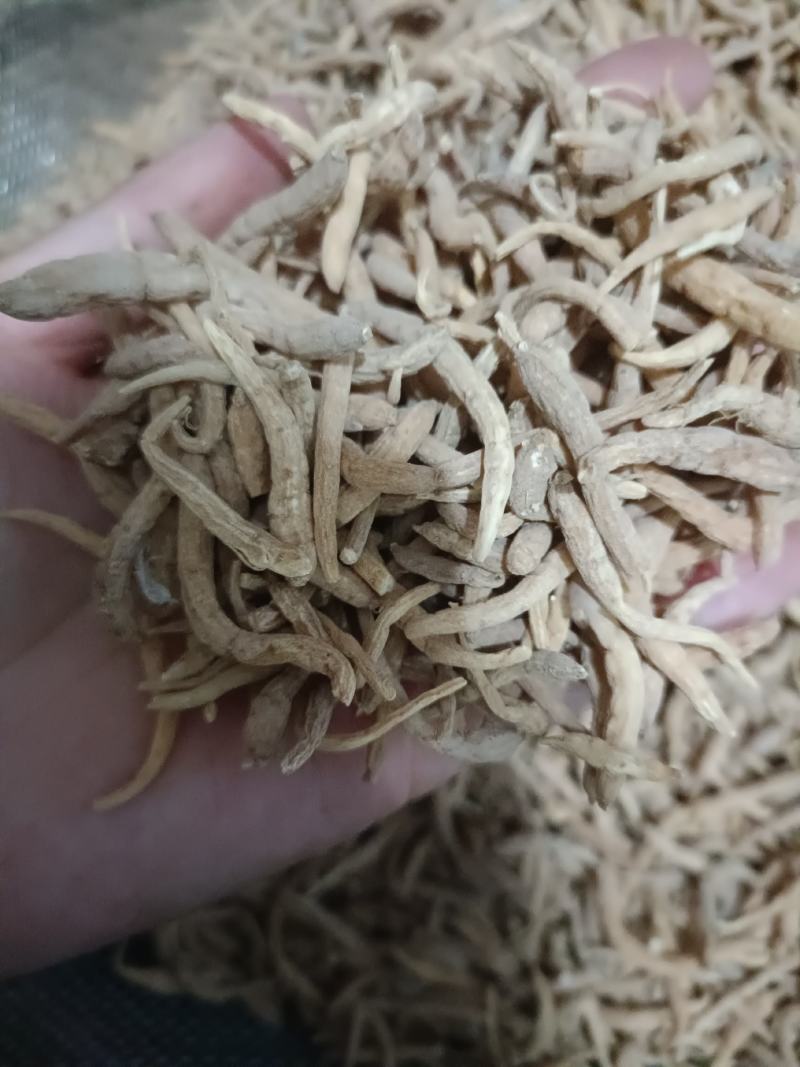 【傲宇药材】太子参孩子参，货好质优价低，
