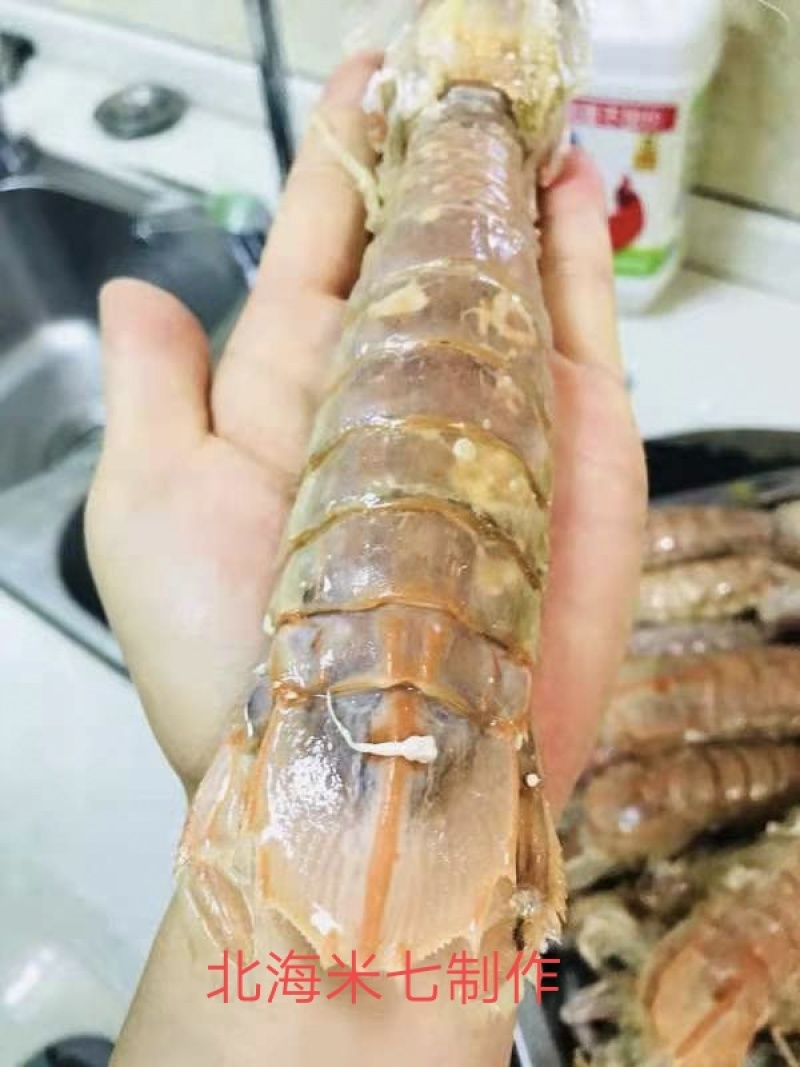 皮皮虾