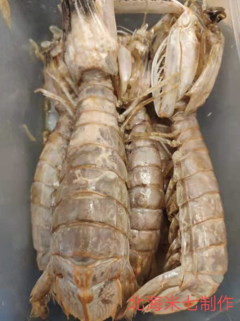 皮皮虾