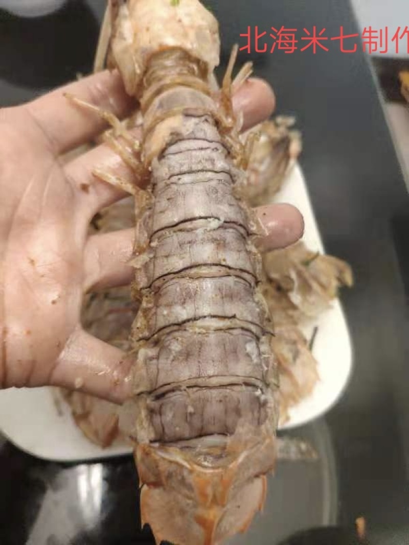 皮皮虾