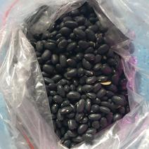 黑豆（黄仁）25公斤包装，一公斤7元，50公斤6.8元