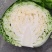 【实力推荐】湖北精品甘蓝已大量上市。欢迎各地客商前来选购