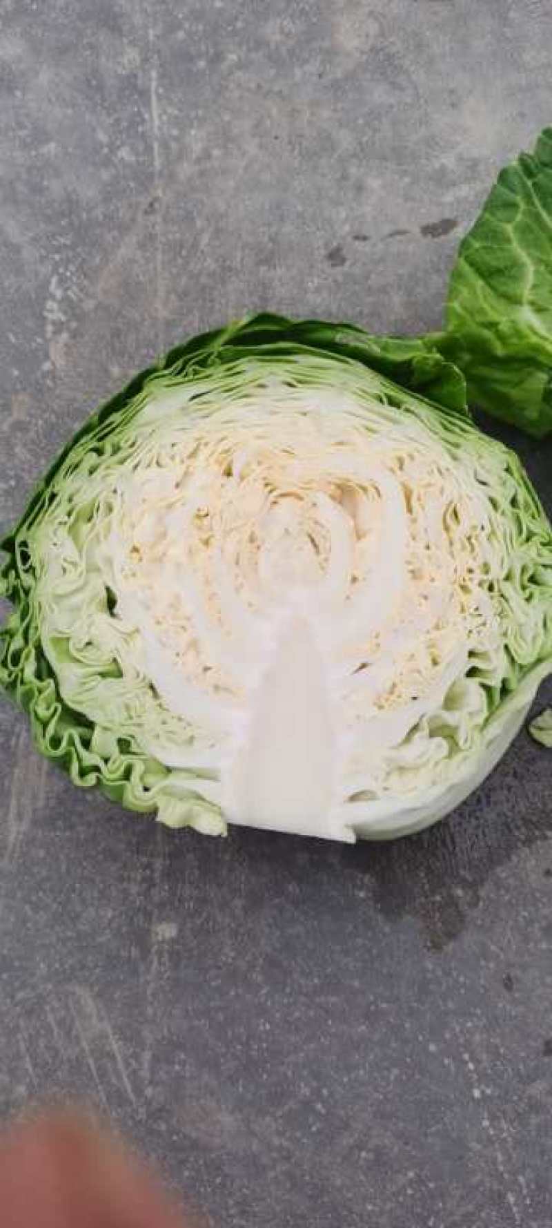【实力推荐】湖北精品甘蓝已大量上市。欢迎各地客商前来选购