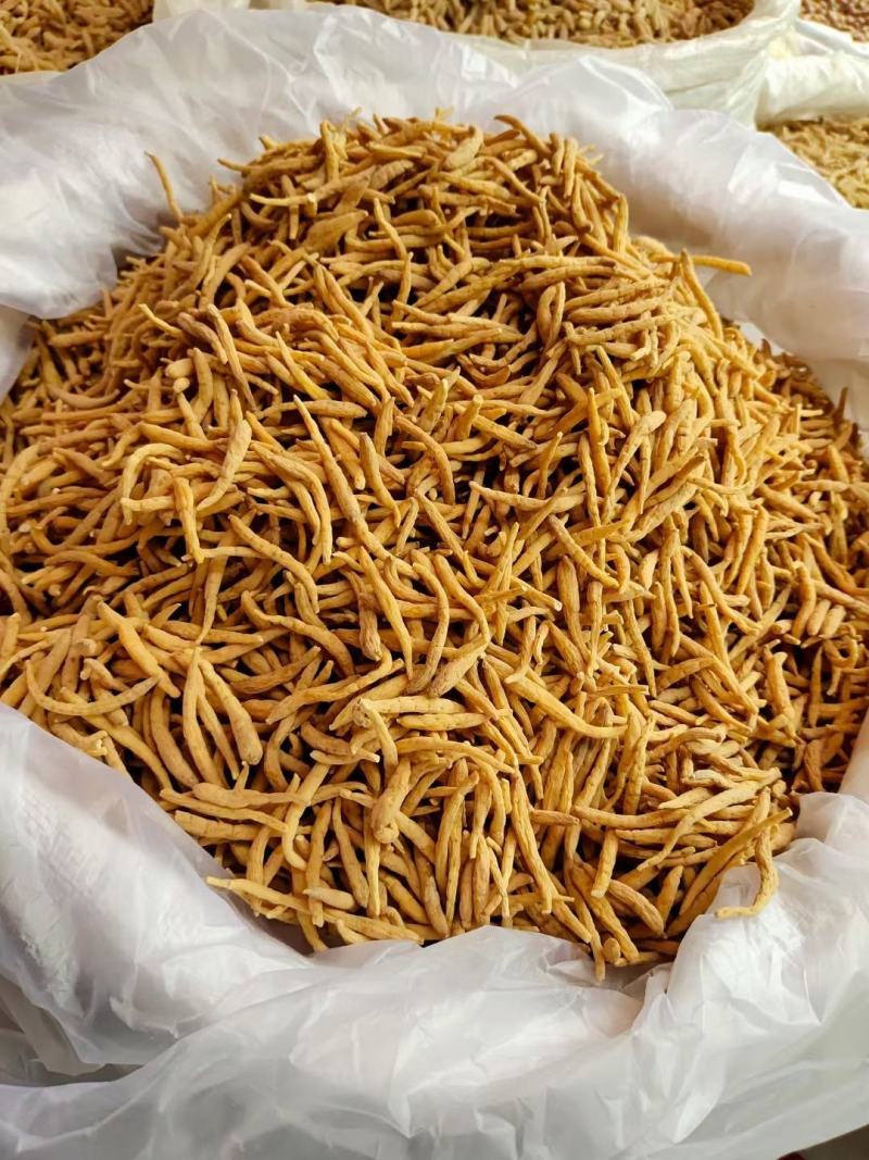 太子参新货全规格零差评百万销量广州店