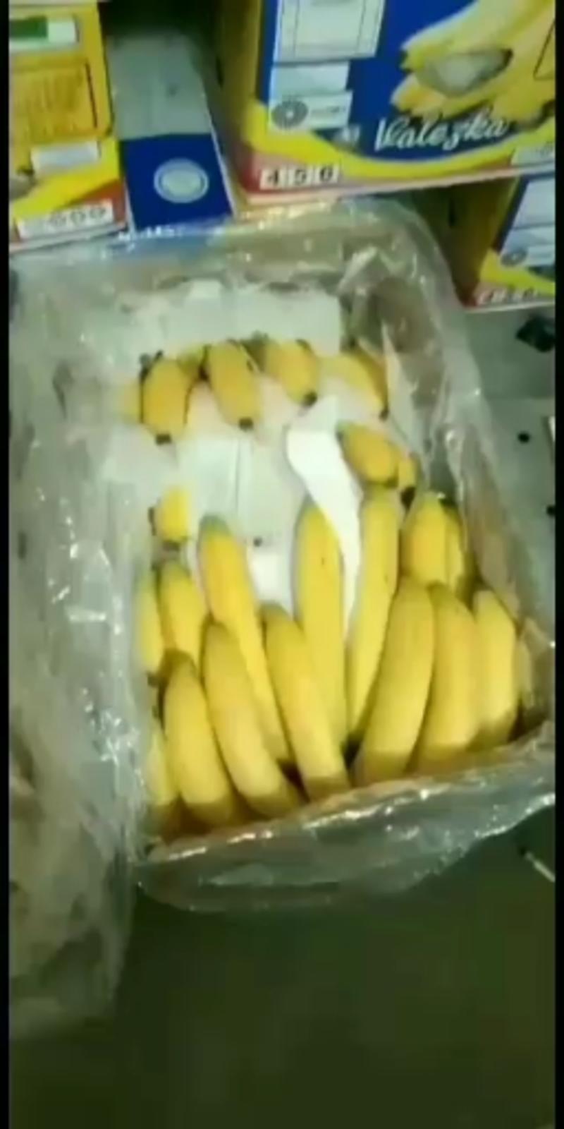 大量批发南美香蕉