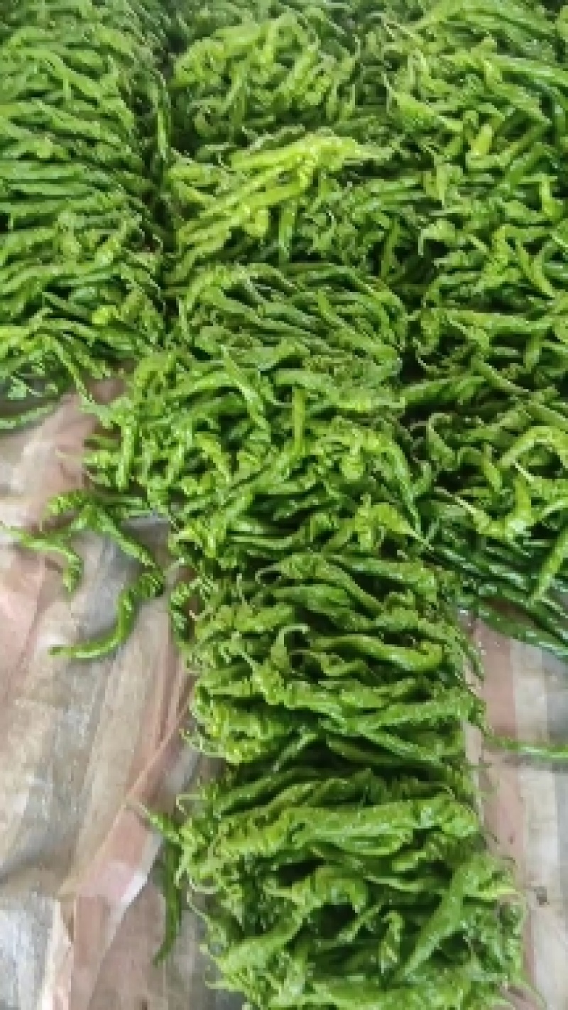 芜湖椒辣椒山东费县各种鲜辣椒大量上市，货源充足，