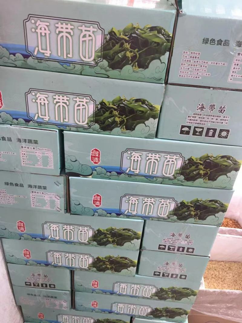 海带苗，霞浦特产，细，嫩，天然无污染