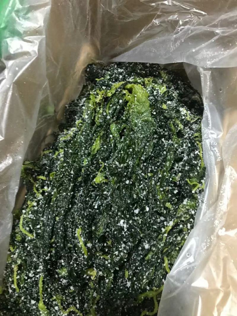 海带苗，霞浦特产，细，嫩，天然无污染