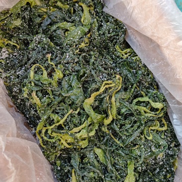 海带苗，霞浦特产，细，嫩，天然无污染