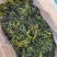 海带苗，霞浦特产，细，嫩，天然无污染