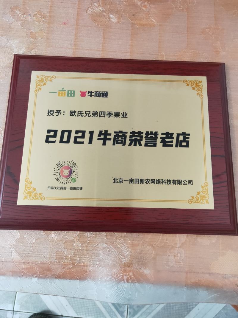 西柚三红葡萄柚西柚红宝石葡萄柚红葡萄柚