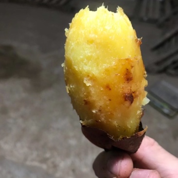 3-7两精品大量红瑶出货