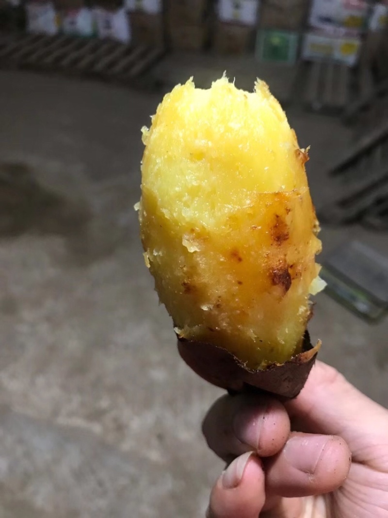 3-7两精品大量红瑶出货