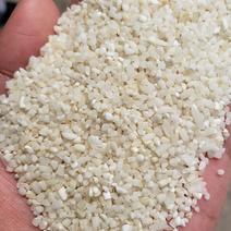 常年供应各种碎米色选米白粒米