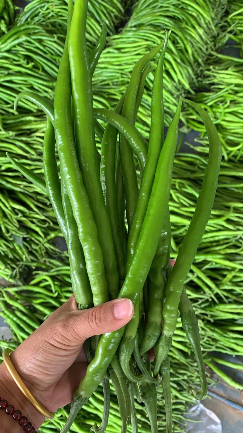 山东费县鲜辣椒线椒量大，电商市场超市