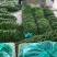 山东费县鲜辣椒线椒量大，电商市场超市