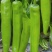 【精品】黄皮尖椒种植基地，商超品质，量大从优，来电优惠