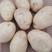 V7土豆纯沙地优质货品，大量供应，品质保证
