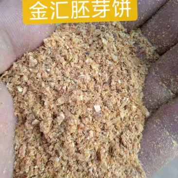 玉米胚芽饼
