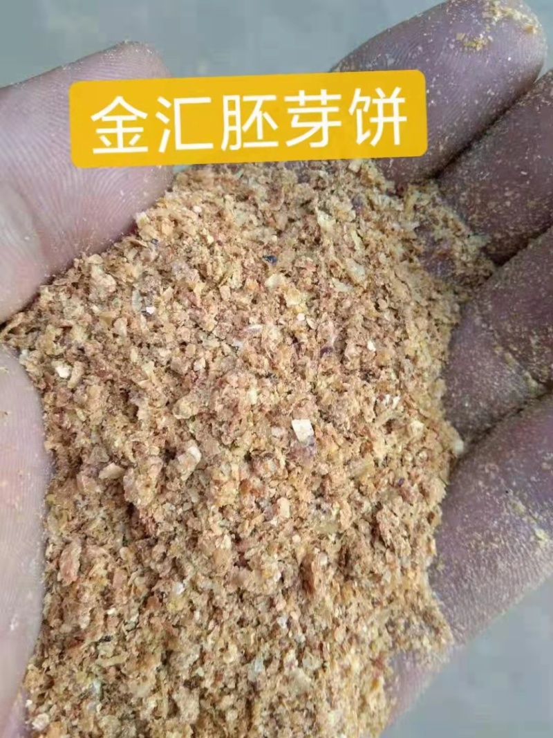 玉米胚芽饼