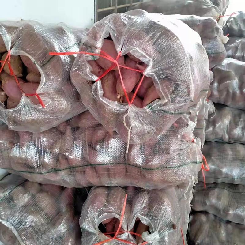 红薯烟薯25支持电商团购市场批发全国发货一手货源。