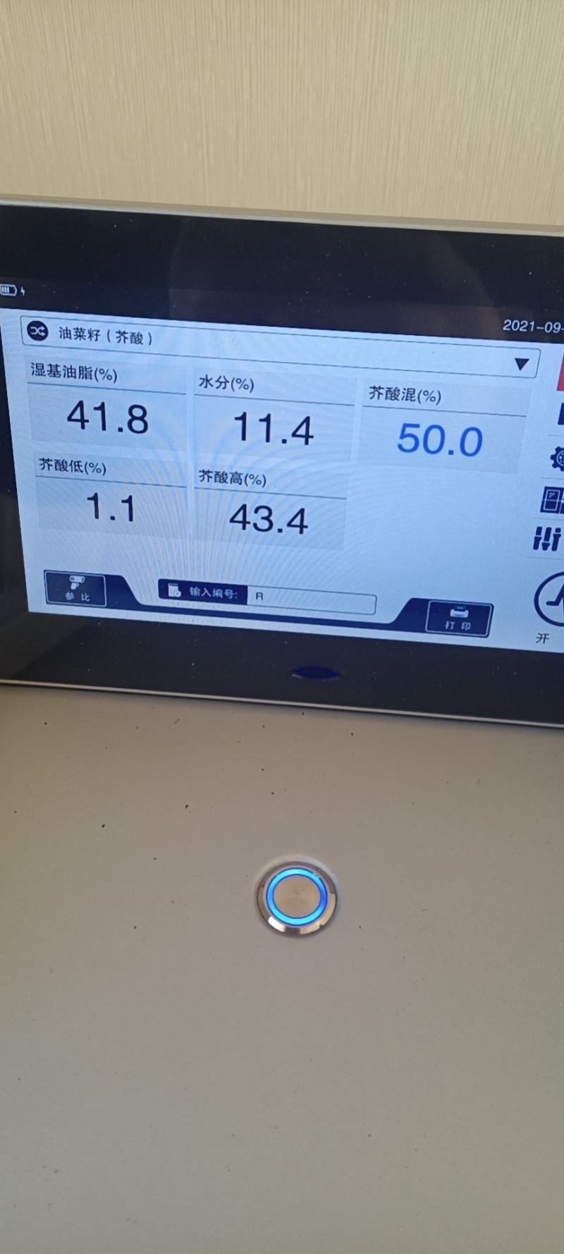 [牛]优质油菜籽，一级新疆油菜籽大量上市，产地现货直发