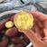 红薯济薯26支持微商电商市场超市批发全国发货