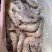 虾南美白虾