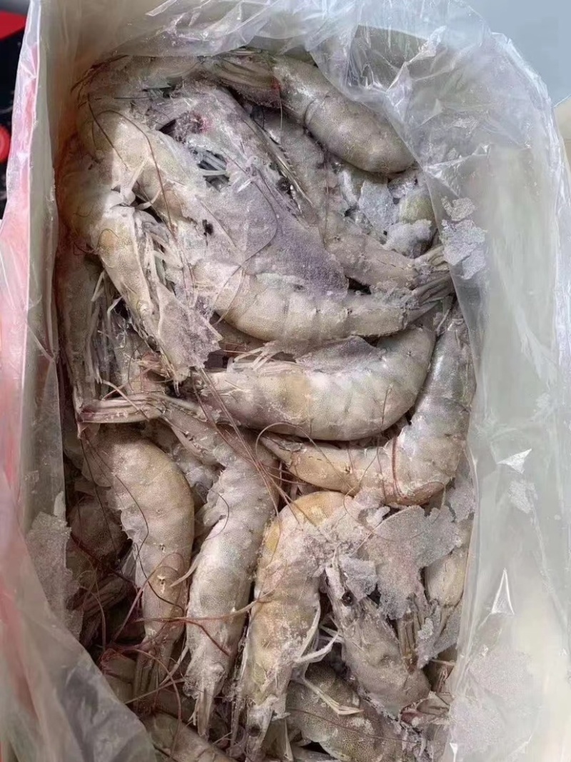 虾南美白虾