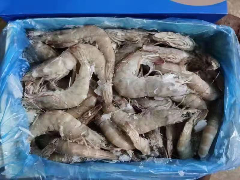 虾南美白虾