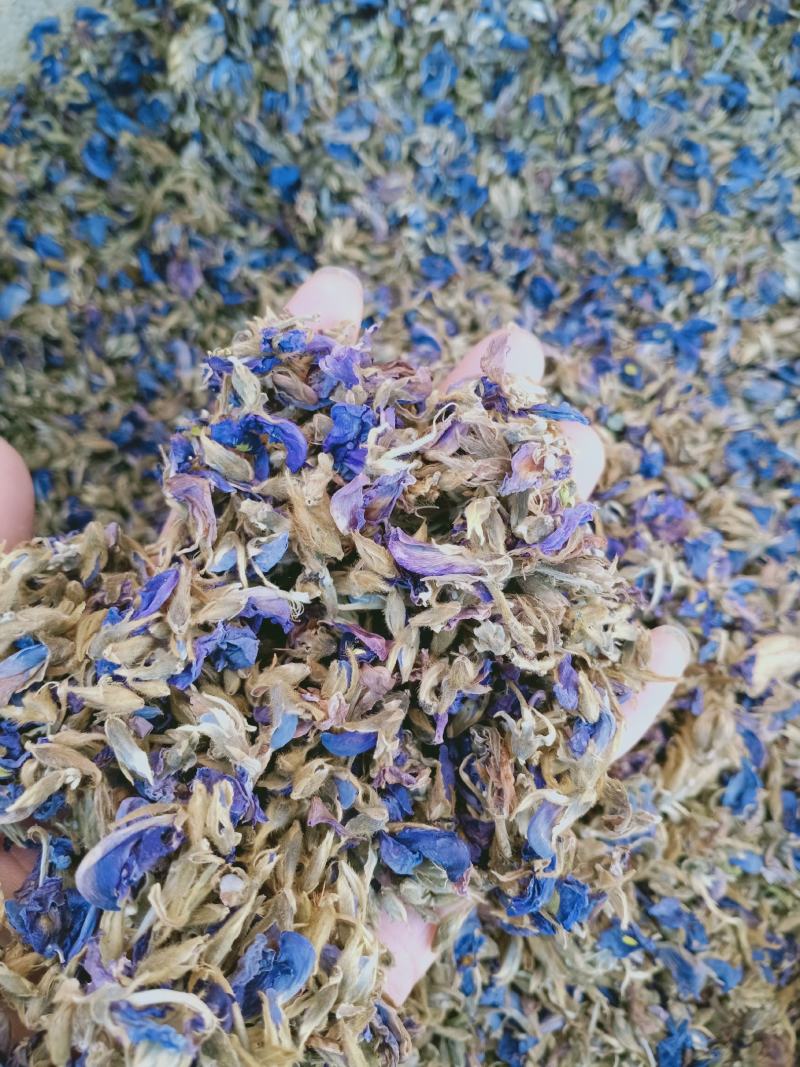 葛花，大花葛花新货颜色好泡水解酒，大量现货供应中！
