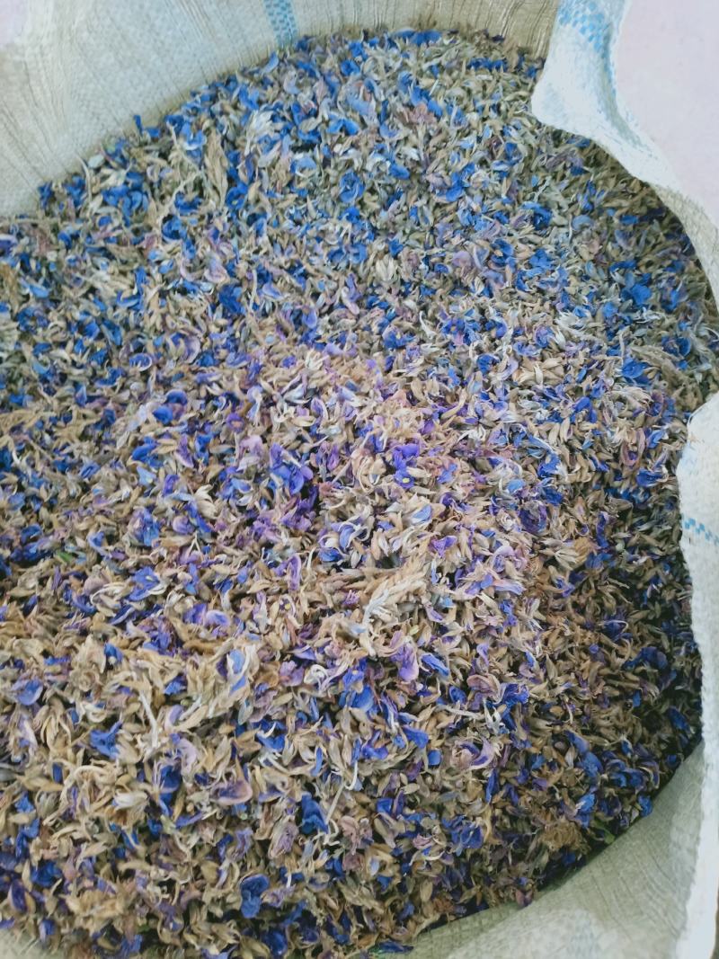 葛花，大花葛花新货颜色好泡水解酒，大量现货供应中！