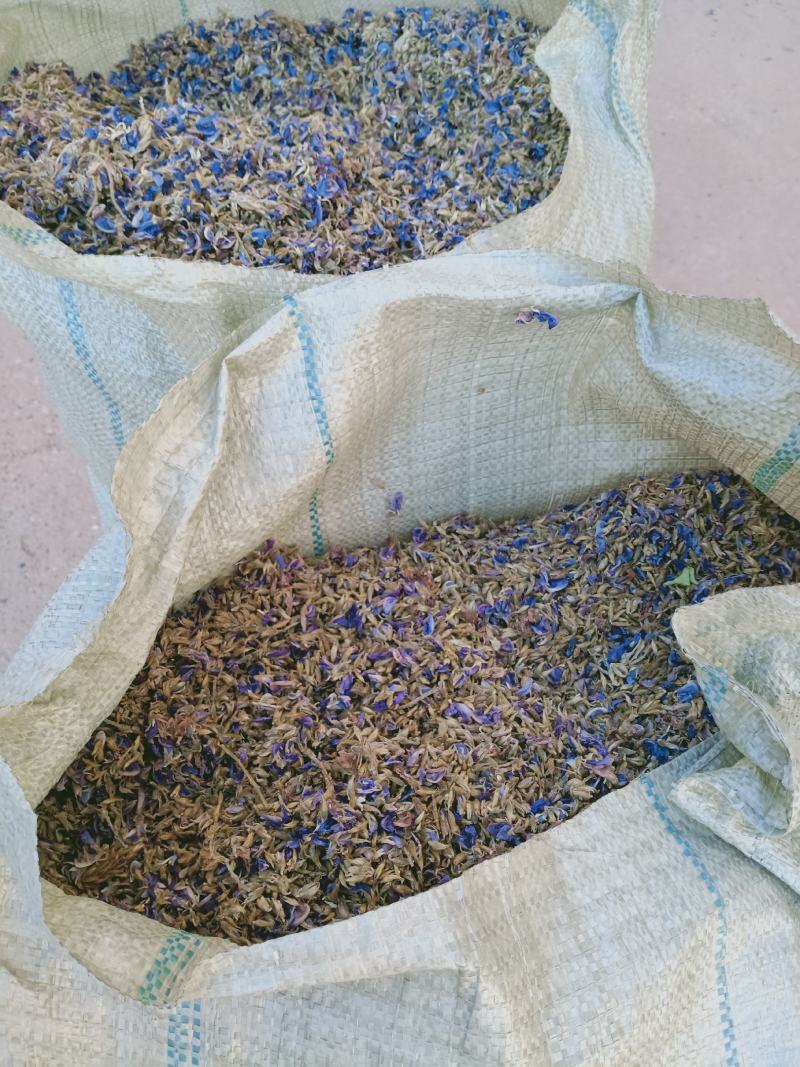 葛花，大花葛花新货颜色好泡水解酒，大量现货供应中！
