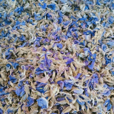 葛花，大花葛花新货颜色好泡水解酒，大量现货供应中！