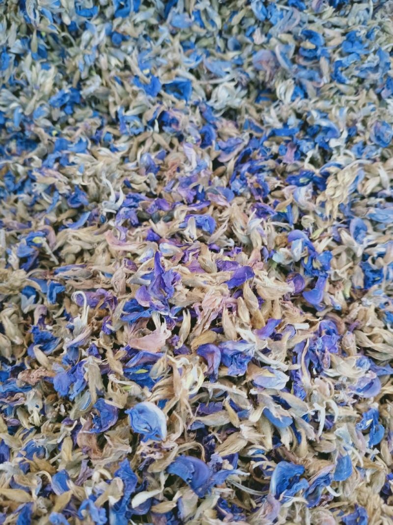 葛花，大花葛花新货颜色好泡水解酒，大量现货供应中！