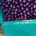 河南省紫长茄，广茄，长茄，基地大量供应，代发全国。