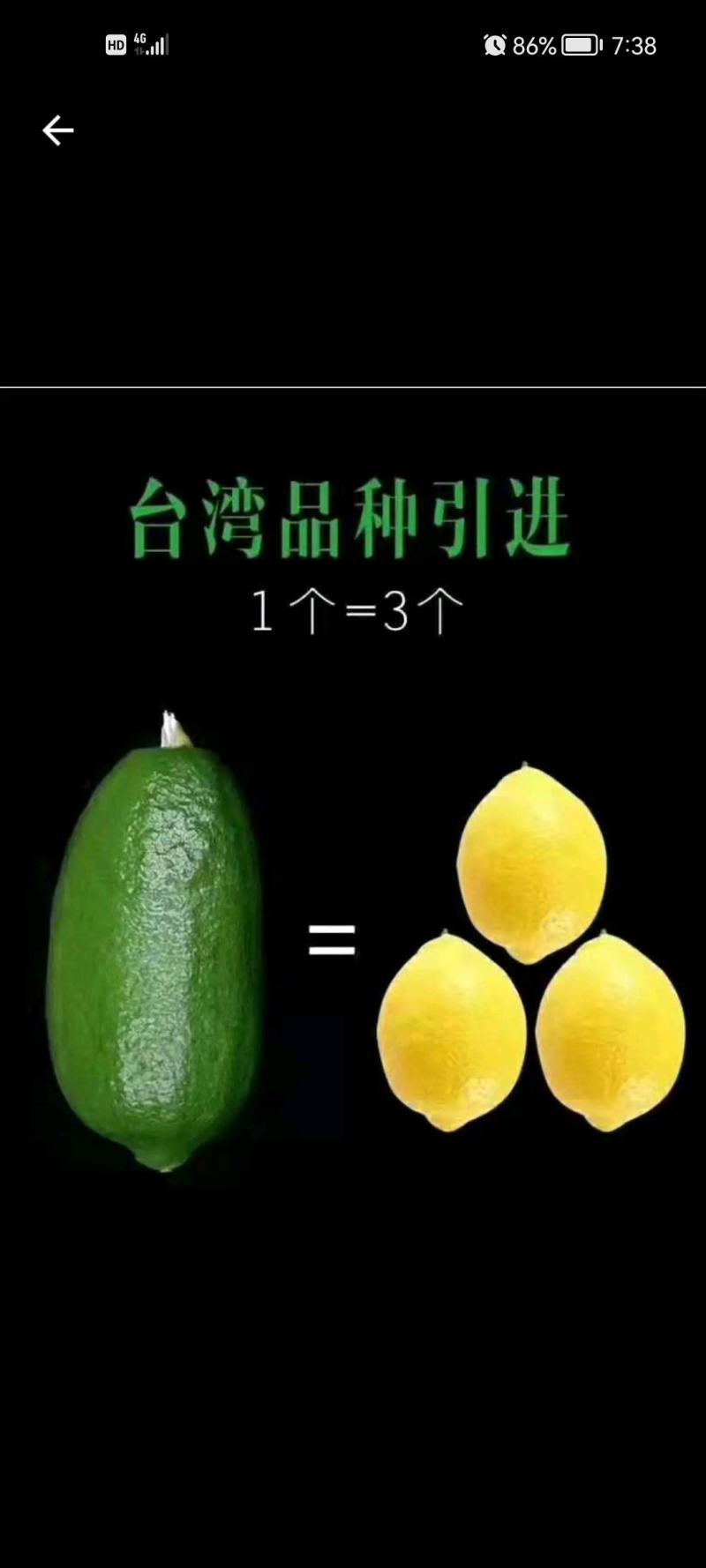 子弹头香水柠檬