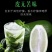 子弹头香水柠檬