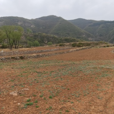 土地荒山荒坡出租转让9000亩可种养，光伏风电