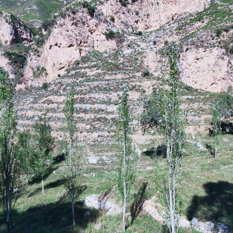 土地荒山荒坡出租转让9000亩可种养，光伏风电
