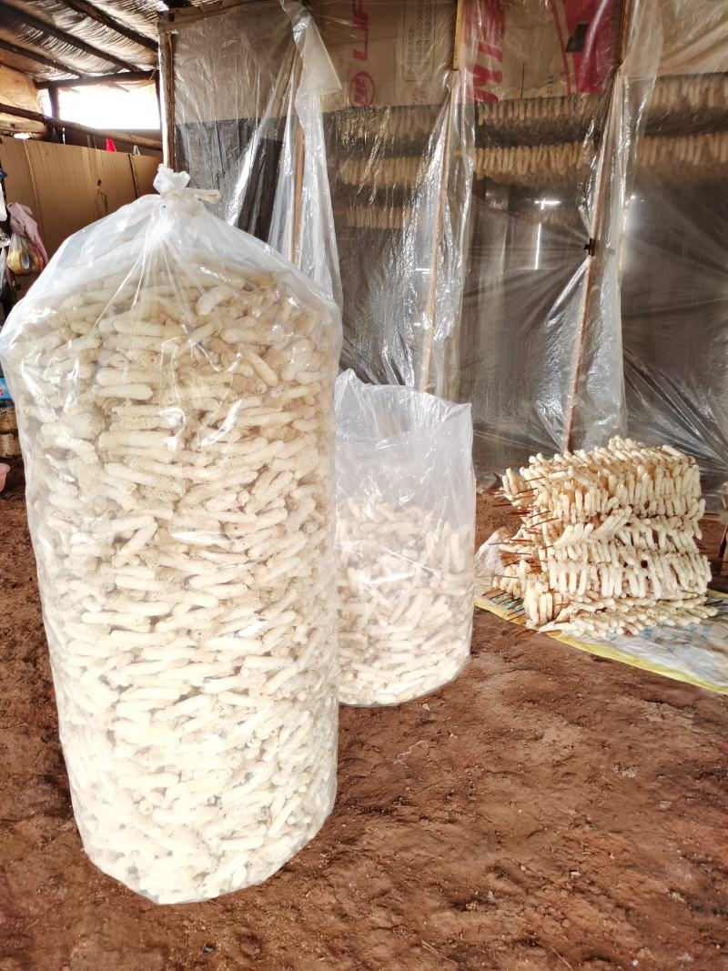 贵州织金竹荪干货产地直销煲汤食材食用菌
