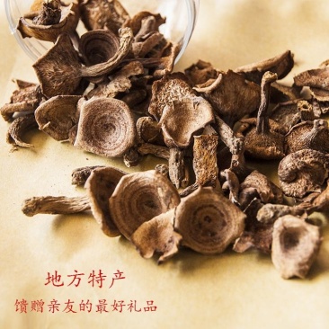香蘑生香蘑天然山货干货菌类花脸菇香菇生蘑菇炖菜调味品礼品